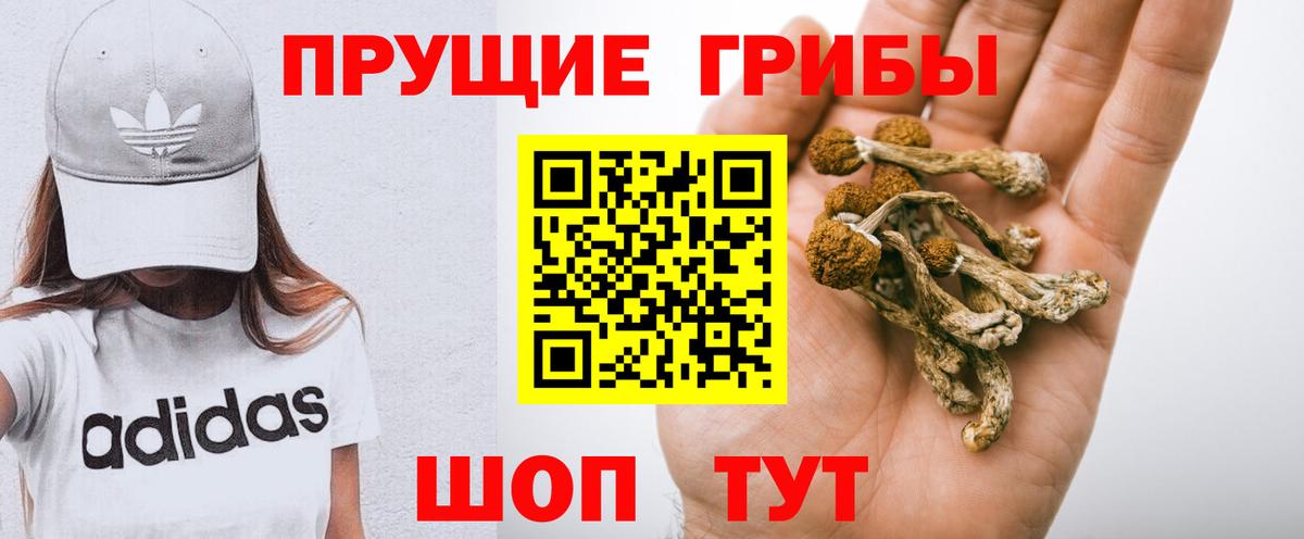 Галлюциногенные грибы ЛСД  Вход с VPN  Клин 