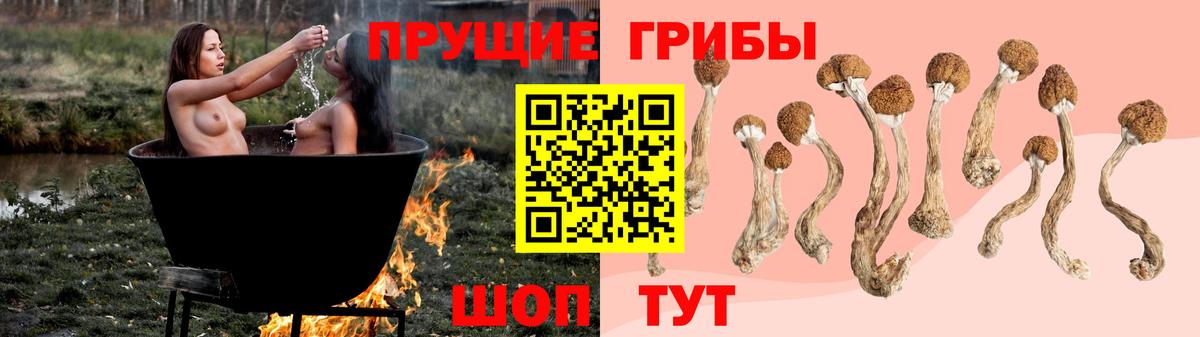 Галлюциногенные грибы Psilocybine cubensis Клин